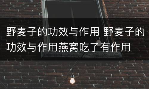 野麦子的功效与作用 野麦子的功效与作用燕窝吃了有作用