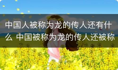 中国人被称为龙的传人还有什么 中国被称为龙的传人还被称为什么