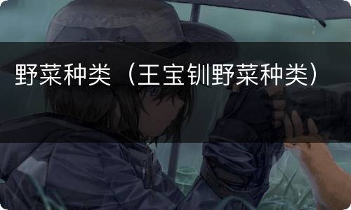 野菜种类（王宝钏野菜种类）