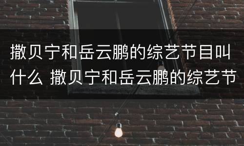 撒贝宁和岳云鹏的综艺节目叫什么 撒贝宁和岳云鹏的综艺节目叫什么名字