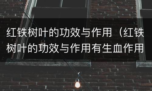 红铁树叶的功效与作用（红铁树叶的功效与作用有生血作用?）