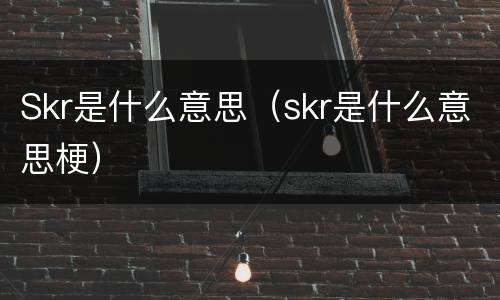 Skr是什么意思（skr是什么意思梗）
