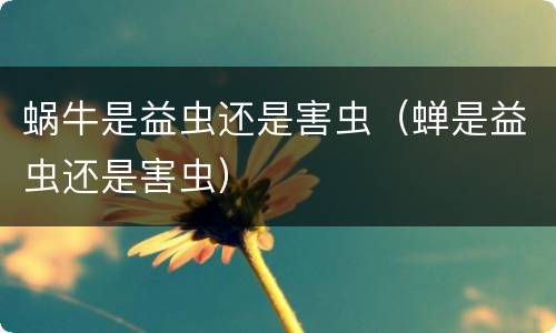 蜗牛是益虫还是害虫（蝉是益虫还是害虫）