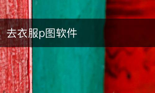 去衣服p图软件