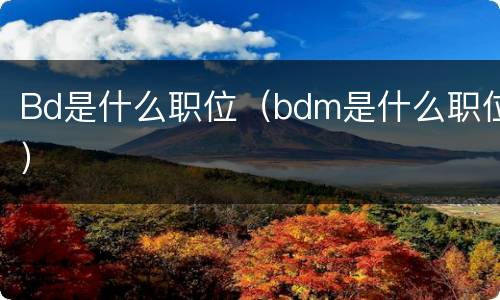 Bd是什么职位（bdm是什么职位）