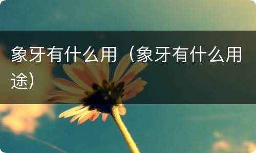 象牙有什么用（象牙有什么用途）