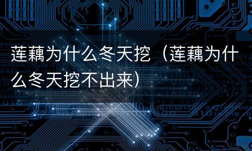 莲藕为什么冬天挖（莲藕为什么冬天挖不出来）