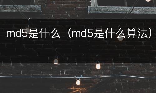 md5是什么（md5是什么算法）