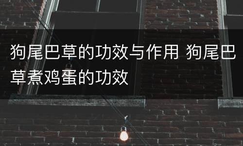 狗尾巴草的功效与作用 狗尾巴草煮鸡蛋的功效