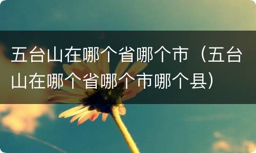 五台山在哪个省哪个市（五台山在哪个省哪个市哪个县）