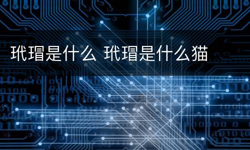 玳瑁是什么 玳瑁是什么猫