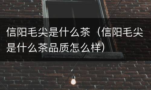 信阳毛尖是什么茶（信阳毛尖是什么茶品质怎么样）