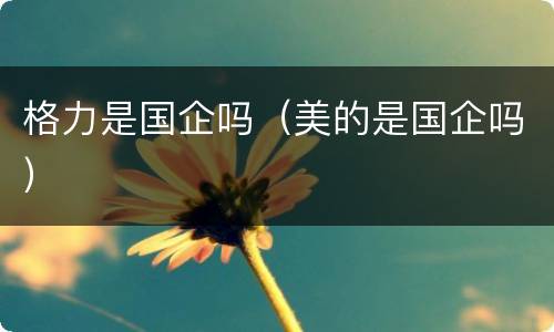 格力是国企吗（美的是国企吗）