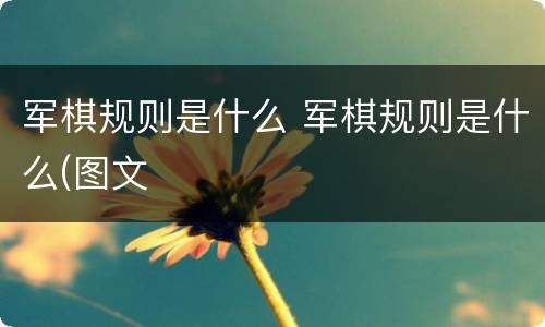 军棋规则是什么 军棋规则是什么(图文