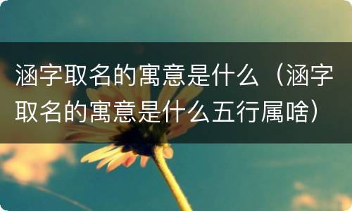 涵字取名的寓意是什么（涵字取名的寓意是什么五行属啥）
