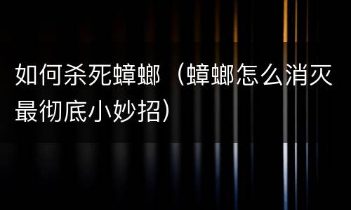 如何杀死蟑螂（蟑螂怎么消灭最彻底小妙招）