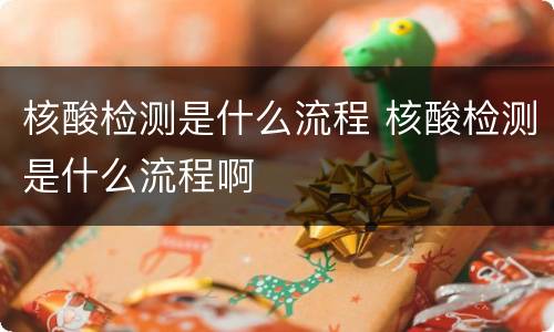 核酸检测是什么流程 核酸检测是什么流程啊