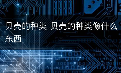 贝壳的种类 贝壳的种类像什么东西