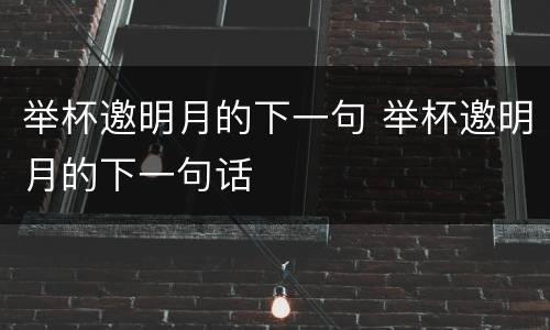 举杯邀明月的下一句 举杯邀明月的下一句话