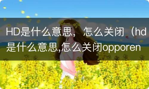 HD是什么意思，怎么关闭（hd是什么意思,怎么关闭opporeno）