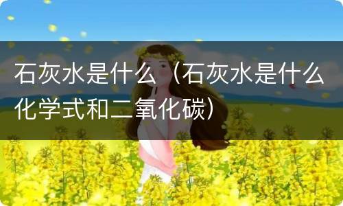 石灰水是什么（石灰水是什么化学式和二氧化碳）