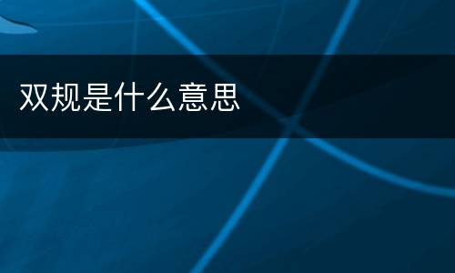 双规是什么意思