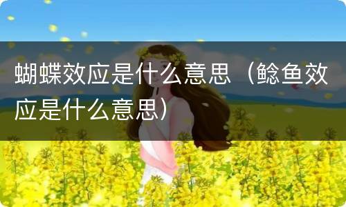 蝴蝶效应是什么意思（鲶鱼效应是什么意思）