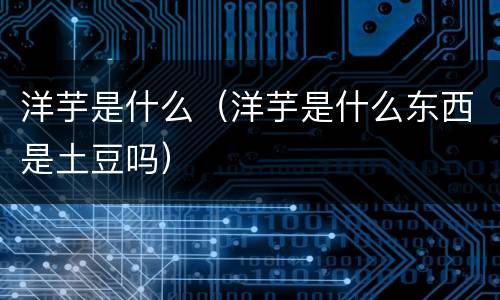 洋芋是什么（洋芋是什么东西是土豆吗）
