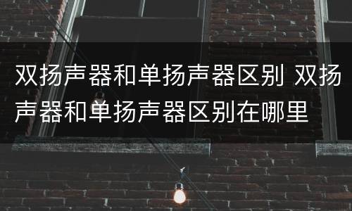 双扬声器和单扬声器区别 双扬声器和单扬声器区别在哪里