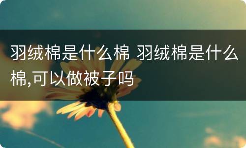 羽绒棉是什么棉 羽绒棉是什么棉,可以做被子吗
