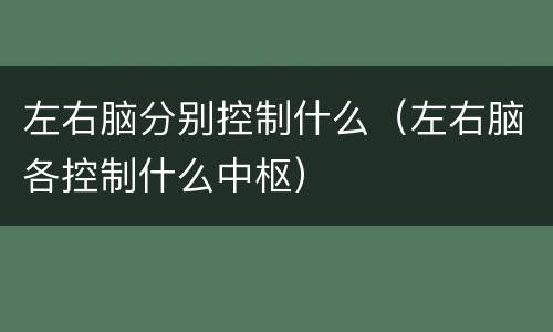 左右脑分别控制什么（左右脑各控制什么中枢）