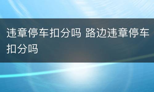 违章停车扣分吗 路边违章停车扣分吗