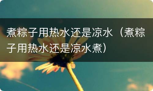 煮粽子用热水还是凉水（煮粽子用热水还是凉水煮）