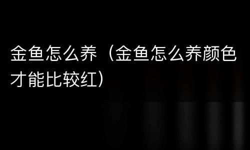 金鱼怎么养（金鱼怎么养颜色才能比较红）