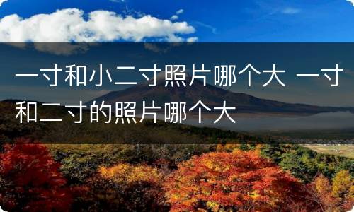 一寸和小二寸照片哪个大 一寸和二寸的照片哪个大