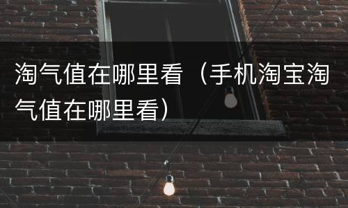 淘气值在哪里看（手机淘宝淘气值在哪里看）