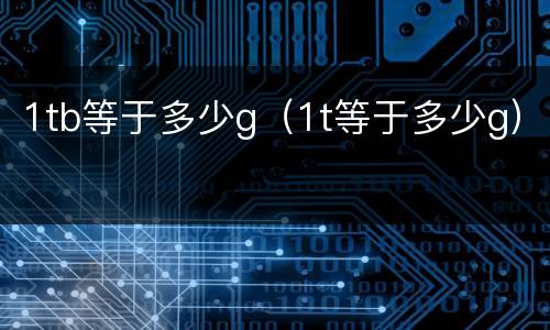 1tb等于多少g（1t等于多少g）