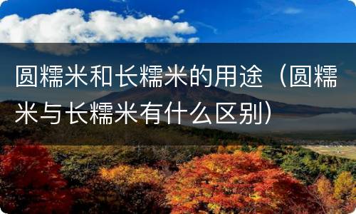 圆糯米和长糯米的用途（圆糯米与长糯米有什么区别）