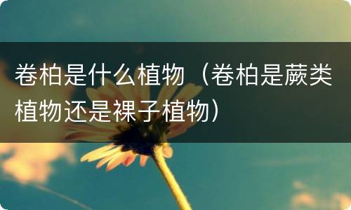 卷柏是什么植物（卷柏是蕨类植物还是裸子植物）