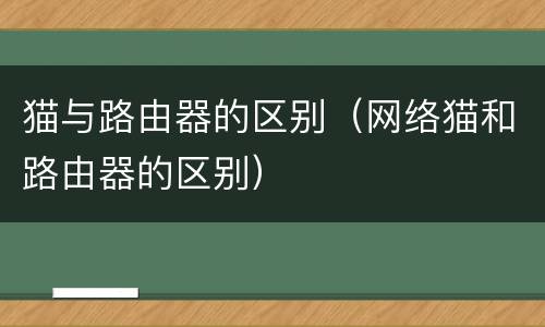 猫与路由器的区别（网络猫和路由器的区别）