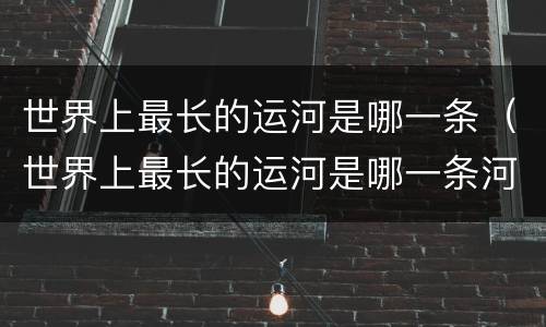 世界上最长的运河是哪一条（世界上最长的运河是哪一条河流）