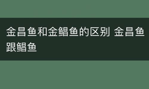金昌鱼和金鲳鱼的区别 金昌鱼跟鲳鱼