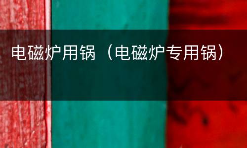 电磁炉用锅（电磁炉专用锅）