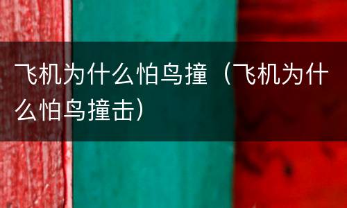 飞机为什么怕鸟撞（飞机为什么怕鸟撞击）