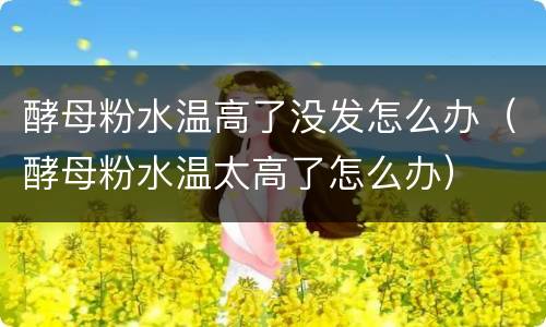 酵母粉水温高了没发怎么办（酵母粉水温太高了怎么办）