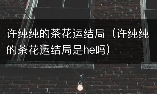 许纯纯的茶花运结局（许纯纯的茶花运结局是he吗）