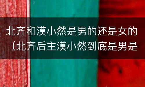 北齐和漠小然是男的还是女的（北齐后主漠小然到底是男是女）