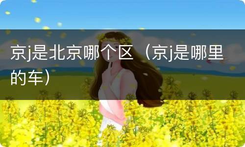 京j是北京哪个区（京j是哪里的车）