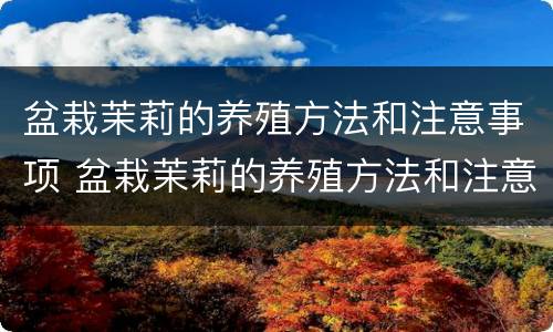 盆栽茉莉的养殖方法和注意事项 盆栽茉莉的养殖方法和注意事项有哪些