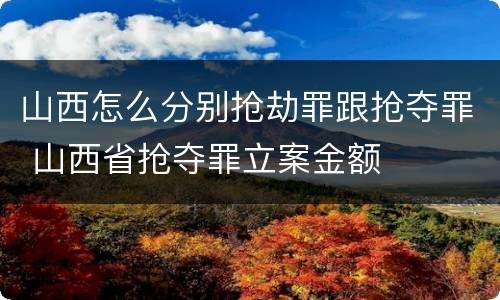 山西怎么分别抢劫罪跟抢夺罪 山西省抢夺罪立案金额